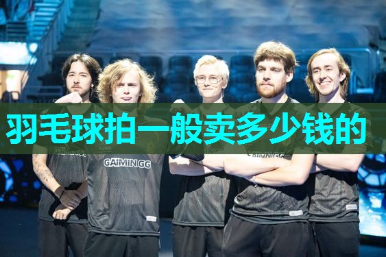 羽毛球拍一般卖多少钱的